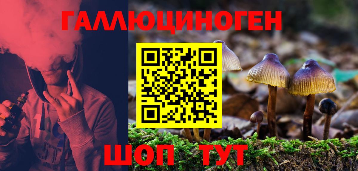 купить наркотик  Вход с VPN  Бирск  Галлюциногенные грибы прущие грибы 